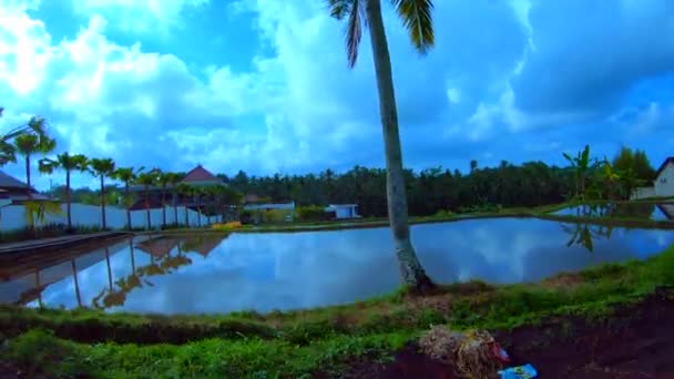 Mengemudi Melalui Ubud Bali Indonesia — Stok Video