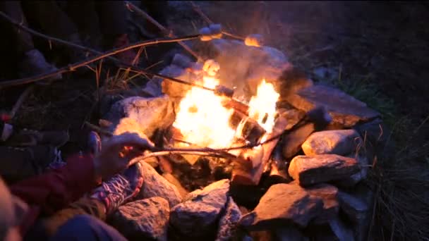 Şöminede Yanan Ateş — Stok video
