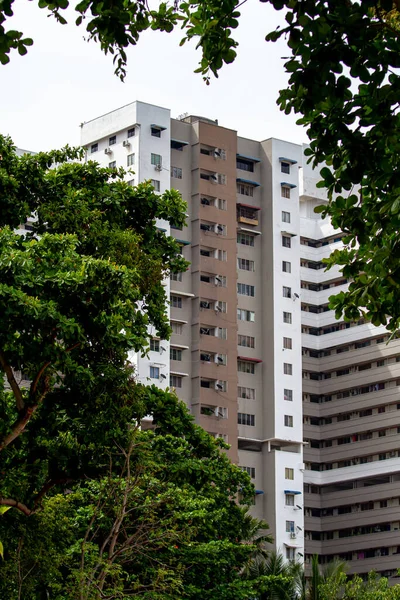Casa Apartamentos Rodeada Árboles Altos Penang Malasia —  Fotos de Stock