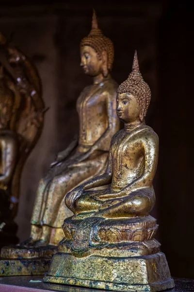 Vertikální Záběr Sochy Zlatého Buddhy Chrámu Meditačním Centru Chiang Mai — Stock fotografie