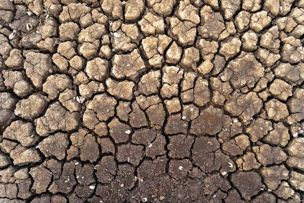 岩の床の質感のクローズアップショット — ストック写真