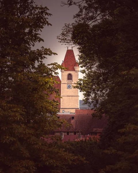 Eerie Scenery Tower Cathedral Majestic Trees Gloomy Day — Stock Photo, Image