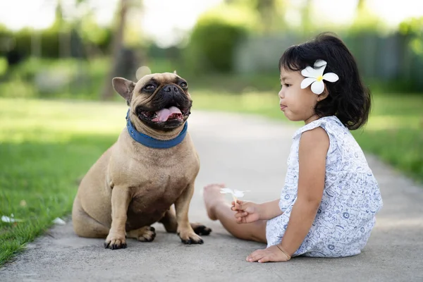 Een Schattig Klein Thais Meisje Spelen Met Haar Franse Bulldo — Stockfoto