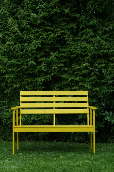Una Toma Vertical Lindo Banco Amarillo Frente Espeso Arbusto Campo — Foto de Stock