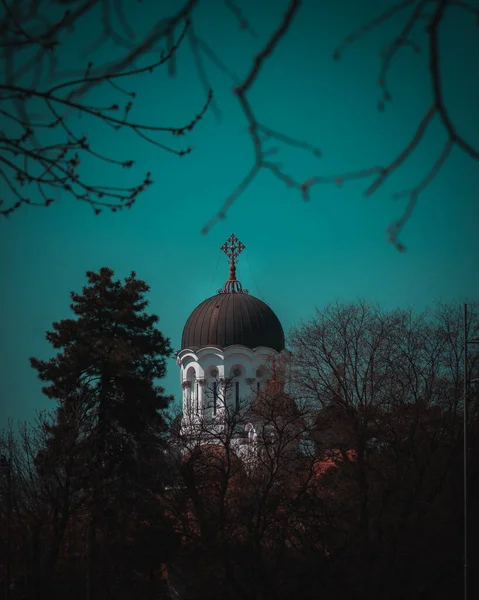青い空の背景に葉を通して教会の頂点 — ストック写真
