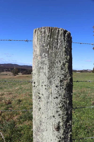 オーストラリアの南ハイランドにある木製の柵のクローズアップショット — ストック写真