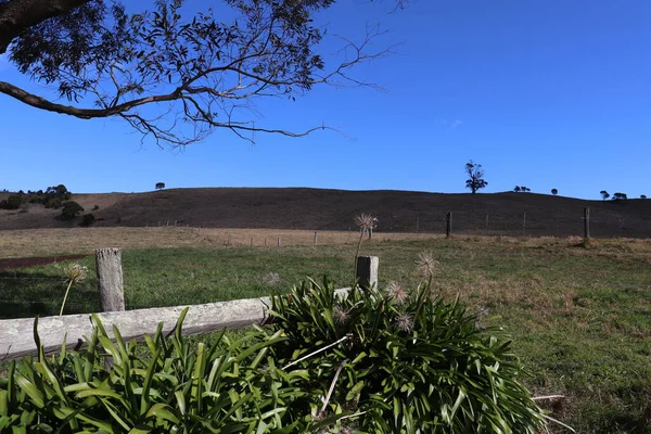 南の高地の畑の真ん中にある金属製の柵 — ストック写真