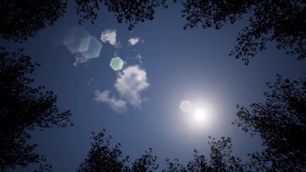 Beautiful Sky Clouds — Stock Video