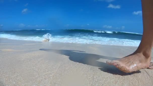 Piękna Plaża Falami Morskimi Błękitnym Niebem — Wideo stockowe