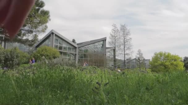 Una Pequeña Casa Bosque — Vídeo de stock