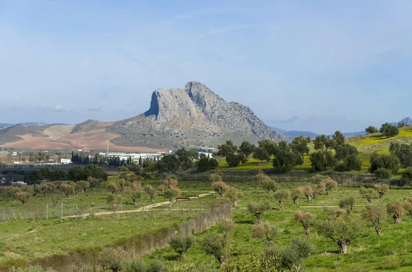 Βουνό Pena Los Enamorados Έξω Από Την Πόλη Antequera Ανδαλουσία — Φωτογραφία Αρχείου
