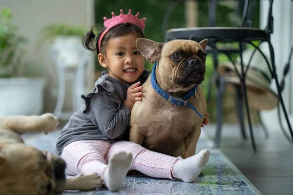 Een Zuidoost Aziatisch Kind Zittend Vloer Met Twee Franse Bulldogs — Stockfoto