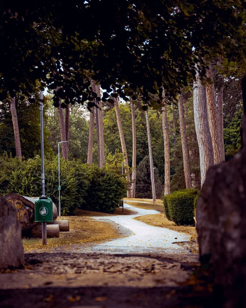 Sendero Través Parque Glorioso Con Árboles Altos —  Fotos de Stock