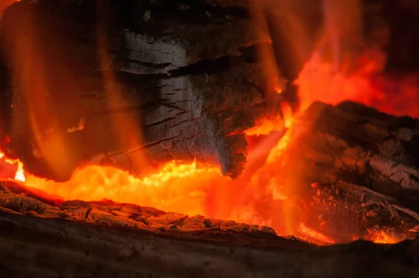 Rönkökből Álló Rönkök Égnek Tűzben — Stock Fotó