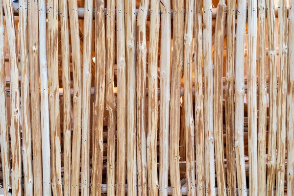 Primo Piano Bastoncini Bambù Fila Recinzione — Foto Stock