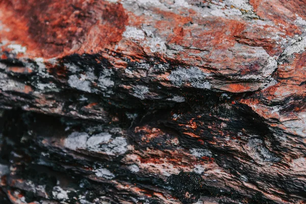 Een Close Shot Van Een Stenen Getextureerd Oppervlak — Stockfoto