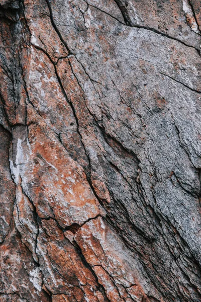 Een Verticaal Close Shot Van Een Stenen Getextureerd Oppervlak — Stockfoto