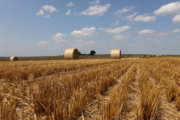 Hermoso Día Verano Con Cielo Nublado Brillando Campo Cosechado Con — Foto de Stock