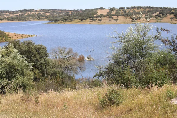 Beautiful Blue Lake Seen Grassy Hil — Stock Photo, Image