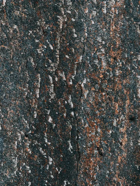 石の質感の表面の垂直クローズアップショット — ストック写真