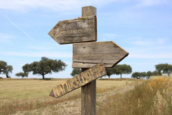 Een Closeup Van Een Van Hout Pijl Bord Een Veld — Stockfoto