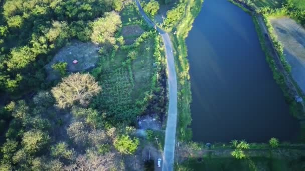 Vanuit Lucht Uitzicht Een Bos Met Bomen Groen Gras — Stockvideo