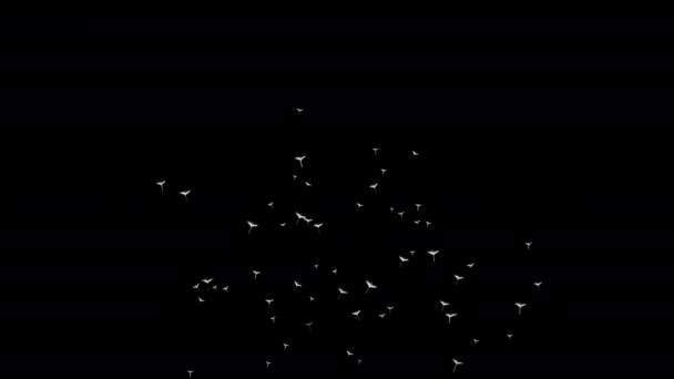 Zwevende Witte Stukken Zwarte Achtergrond — Stockvideo