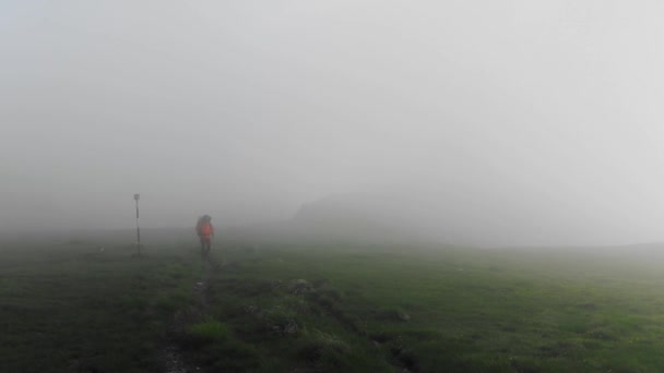 Footage Young Man Trekking Mountains Foggy Day — Wideo stockowe