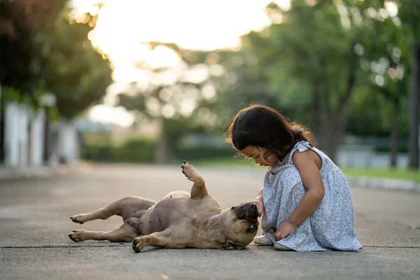 Uma Menina Bonita Asiática Brincando Com Seus Amigos Bulldog Francês — Fotografia de Stock