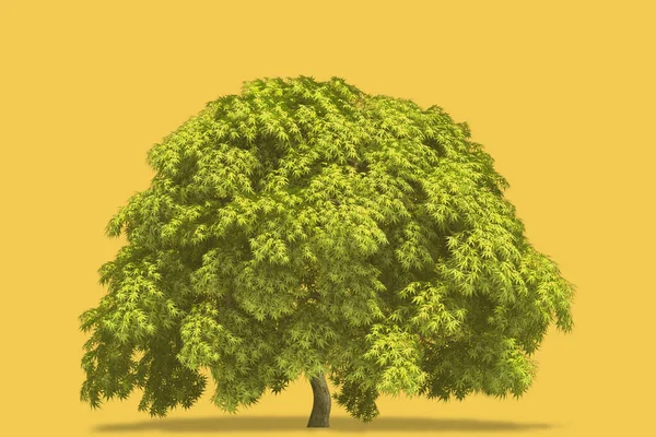 Una Ilustración Digital Árbol Verde Sobre Fondo Amarillo Para Fondos —  Fotos de Stock