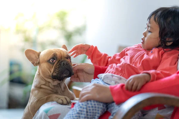 Een Schattig Zuidoost Aziatisch Vrouwelijk Kind Spelen Met Haar Franse — Stockfoto