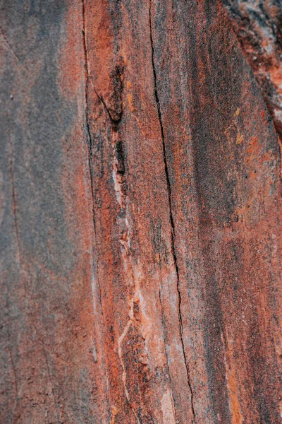 Vertical Closeup Shot Stone Textured Surface — Stock Photo, Image