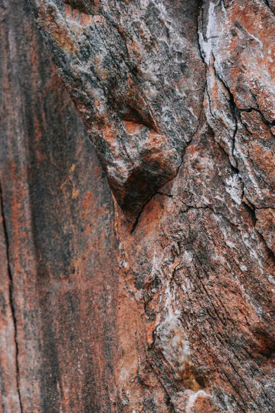 Вертикальный Крупный План Каменной Текстурированной Поверхности — стоковое фото