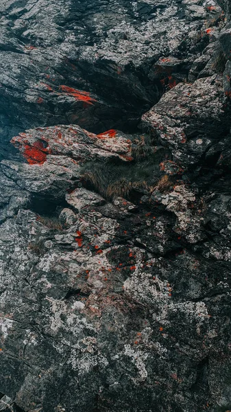 Een Verticaal Close Shot Van Een Stenen Getextureerd Oppervlak — Stockfoto