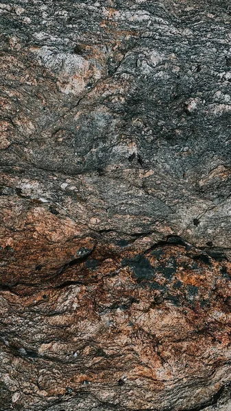 Vertical Closeup Shot Stone Textured Surface — Stock Photo, Image