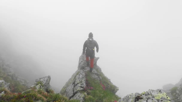 Footage Young Man Trekking Mountains Foggy Day — Vídeo de Stock