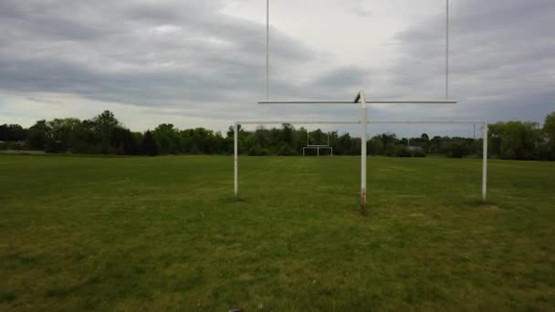 Champ Vert Avec Herbe Beaucoup Nuages Blancs — Video