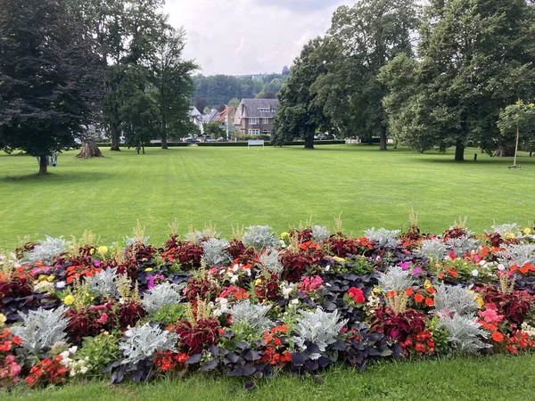 Schin Geul Hollandia 2021 Augusztus Egy Gyönyörű Zöld Park Virágokkal — Stock Fotó