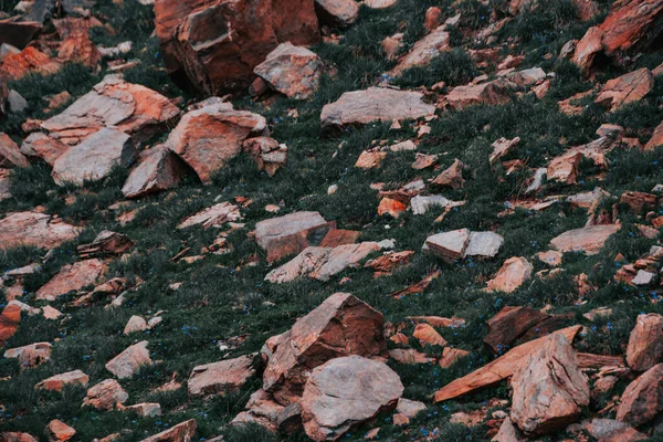 Een Uitzicht Grote Stenen Verspreid Het Gras — Stockfoto