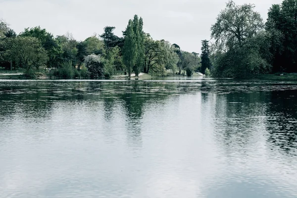 異なる木々の間の湖の景色 — ストック写真