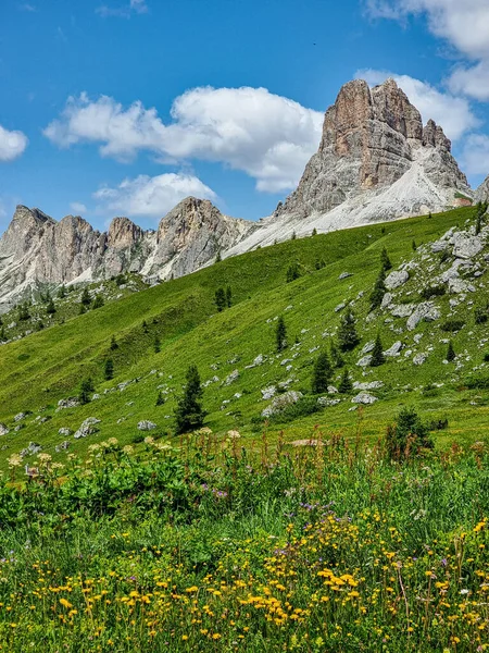 Uma Paisagem Montanha Cênica Com Pinheiros Belas Flores Fundo Céu — Fotografia de Stock