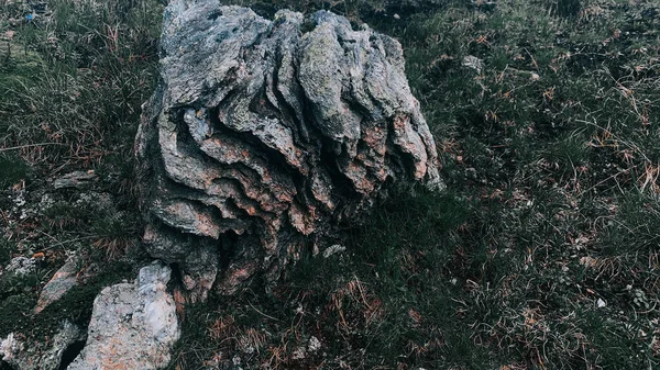 Una Vista Una Roca Texturizada Sobre Hierba —  Fotos de Stock