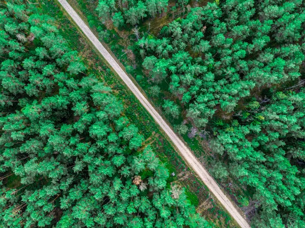 Воздушный Кадр Диагональной Дорожки Лесу Зелеными Деревьями Концепция Жизненного Пути — стоковое фото
