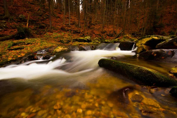 Cascate Acqua Che Scorre Nella Foresta — Foto Stock