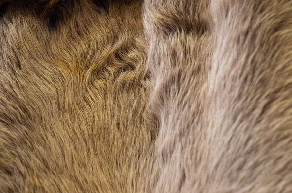 茶色の毛皮の背景の閉鎖 — ストック写真