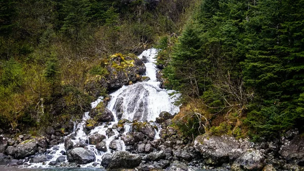 Ett Vackert Vattenfall Skogen — Stockfoto