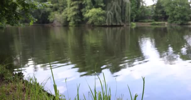 Hermosa Vista Del Lago Parque — Vídeos de Stock