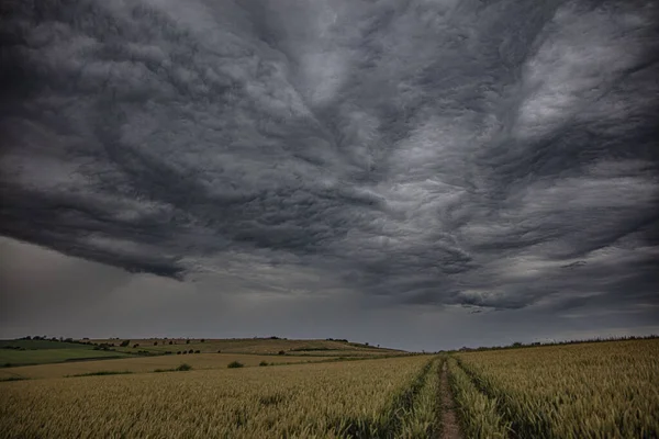 Dark Gloomy Sky Wheat Field — Stock Photo, Image