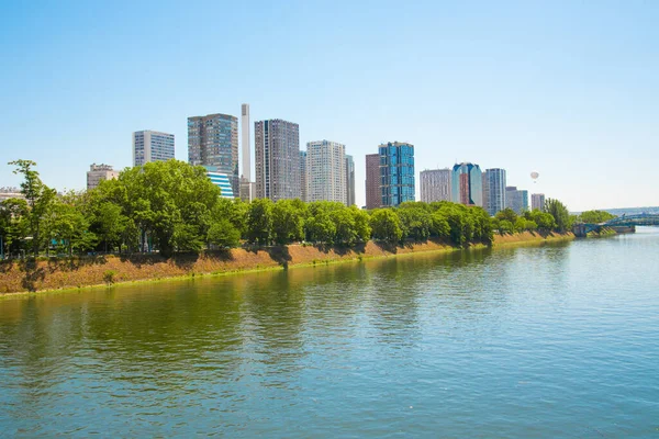 Vista Ile Aux Cygnes Isla Los Cisnes Río Sena París —  Fotos de Stock