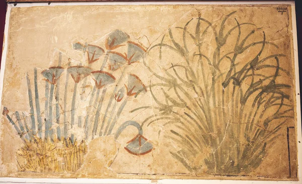 Cairo Egypt Jun 2021 Ancient Egyptian Artwork Depicting Plants Flowers — Stock Photo, Image